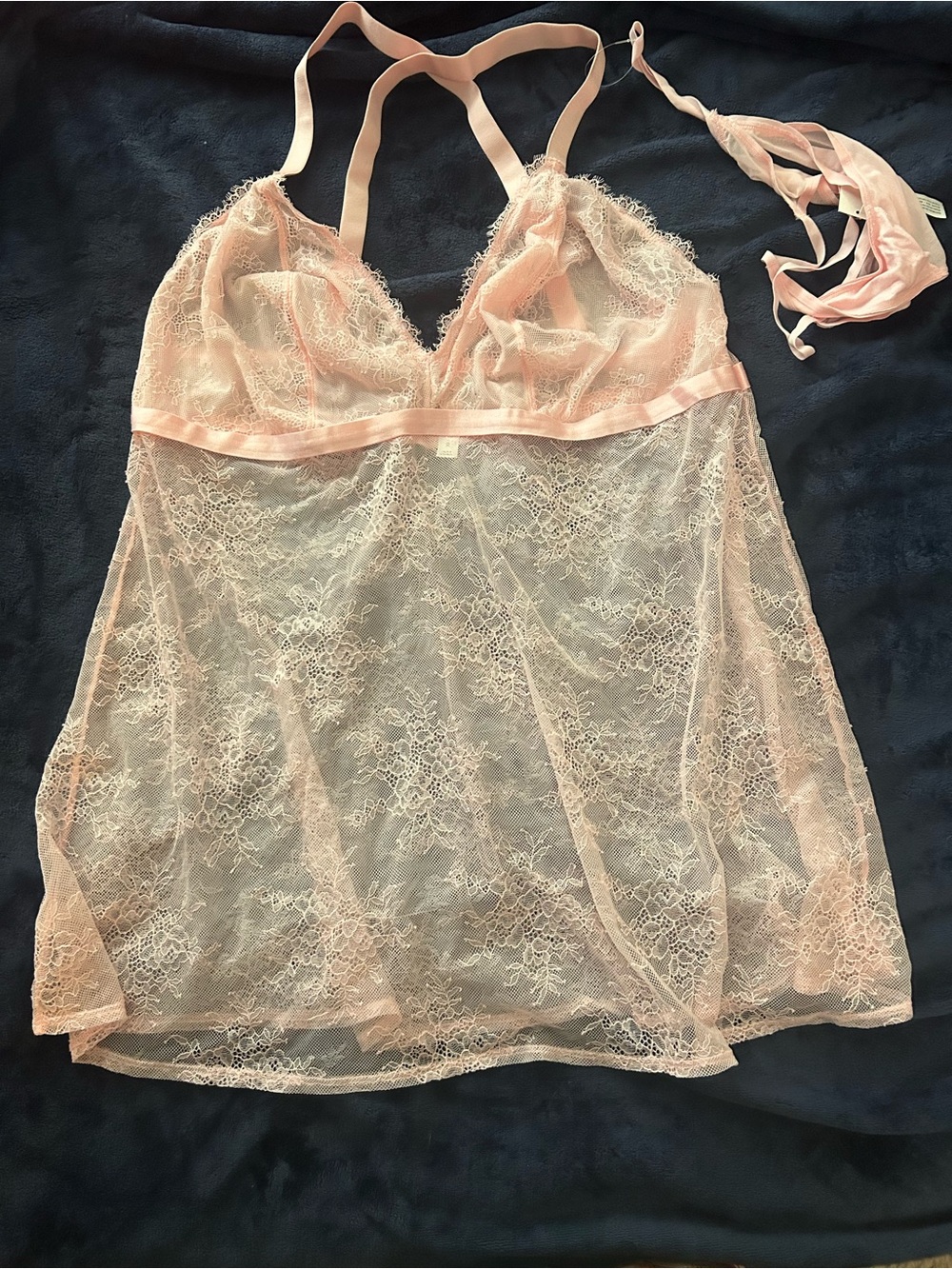 Auden Delicate Lace Sheer Chemise in Soft Pink
